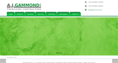 Desktop Screenshot of gammond.com